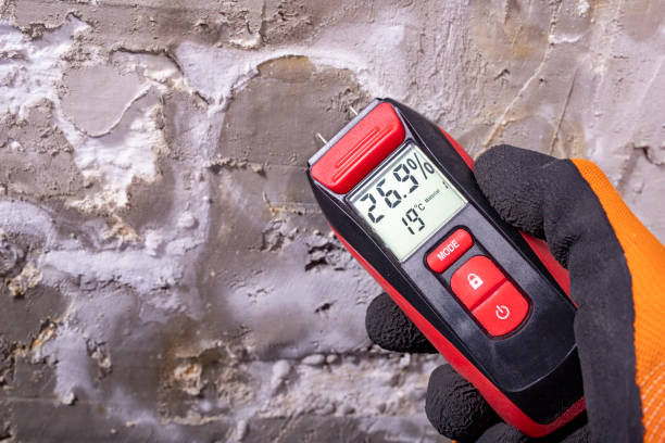 Best Health and Safety Mold Remediation in River Ridge, FL